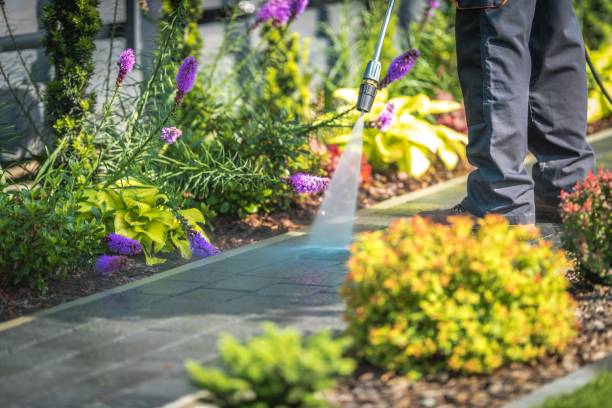 Reliable Fallston, MD Pressure Washing Services Solutions